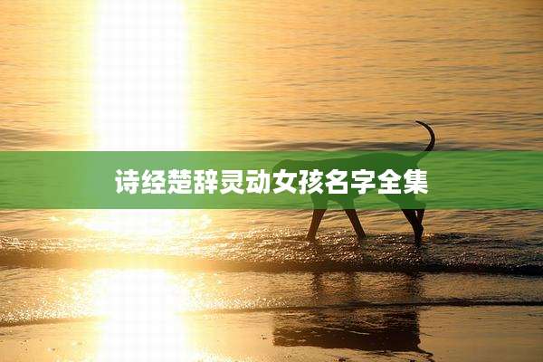 诗经楚辞灵动女孩名字全集