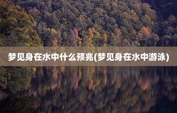 梦见身在水中什么预兆(梦见身在水中游泳)