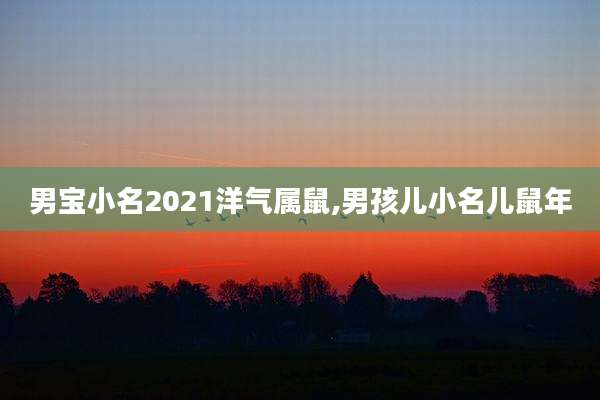 男宝小名2021洋气属鼠,男孩儿小名儿鼠年