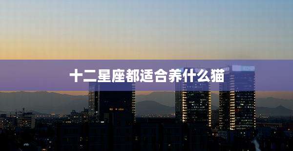 十二星座都适合养什么猫