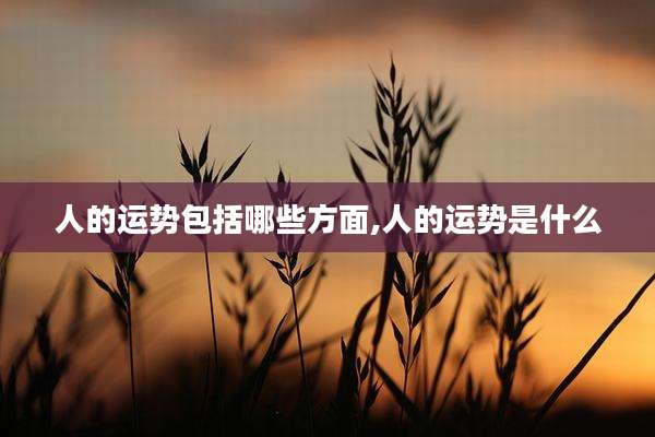 人的运势包括哪些方面,人的运势是什么