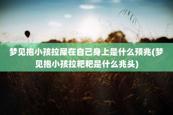 梦见抱小孩拉屎在自己身上是什么预兆(梦见抱小孩拉粑粑是什么兆头)