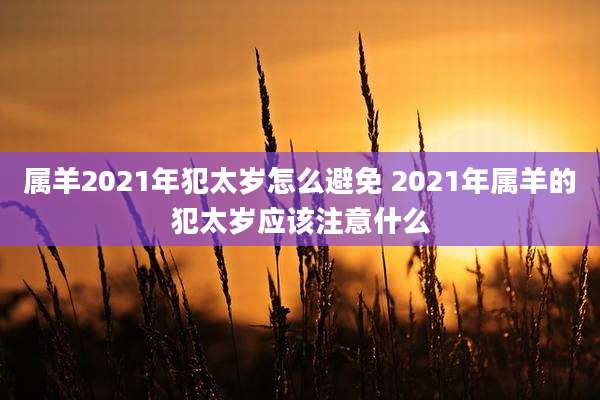 属羊2021年犯太岁怎么避免 2021年属羊的犯太岁应该注意什么