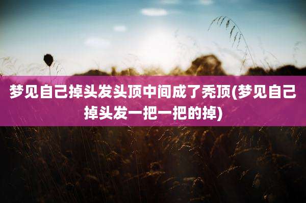 梦见自己掉头发头顶中间成了秃顶(梦见自己掉头发一把一把的掉)