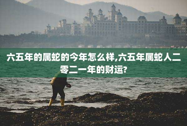 六五年的属蛇的今年怎么样,六五年属蛇人二零二一年的财运?