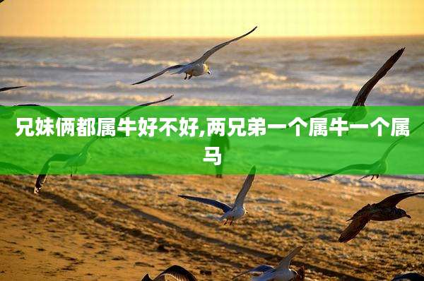兄妹俩都属牛好不好,两兄弟一个属牛一个属马