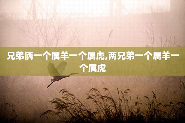 兄弟俩一个属羊一个属虎,两兄弟一个属羊一个属虎