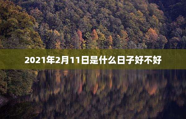 2021年2月11日是什么日子好不好