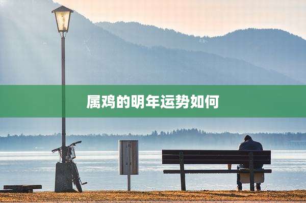 属鸡的明年运势如何