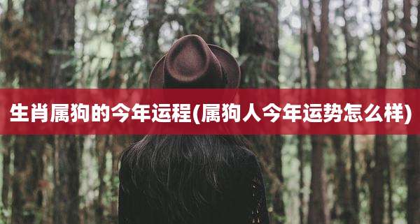 生肖属狗的今年运程(属狗人今年运势怎么样)