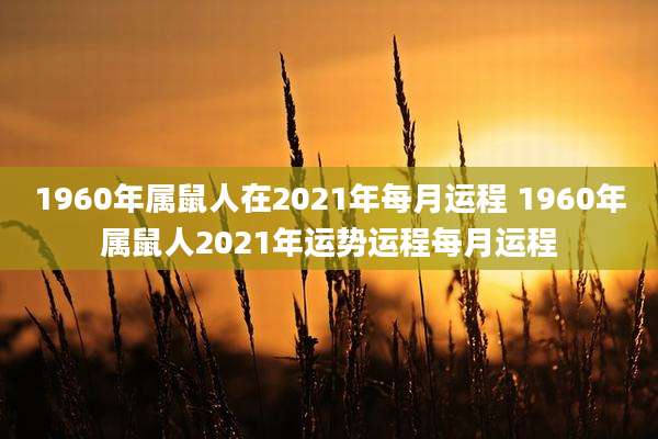 1960年属鼠人在2021年每月运程 1960年属鼠人2021年运势运程每月运程