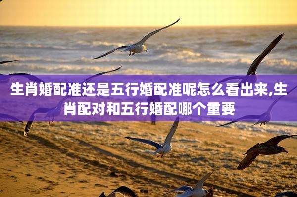 生肖婚配准还是五行婚配准呢怎么看出来,生肖配对和五行婚配哪个重要