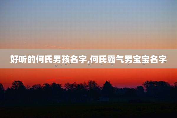 好听的何氏男孩名字,何氏霸气男宝宝名字
