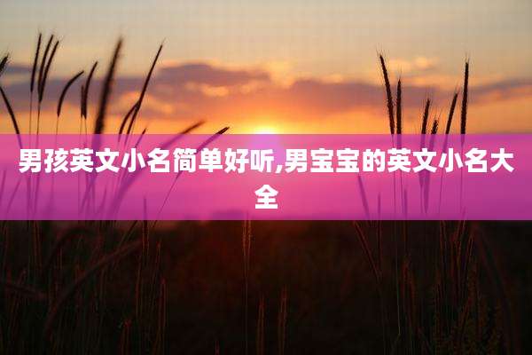 男孩英文小名简单好听,男宝宝的英文小名大全