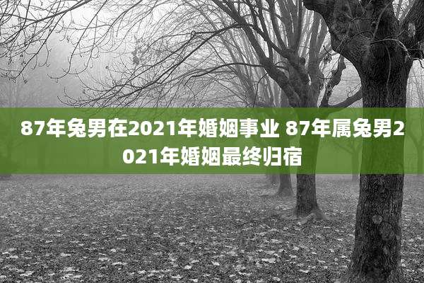 87年兔男在2021年婚姻事业 87年属兔男2021年婚姻最终归宿