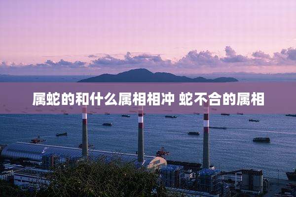 属蛇的和什么属相相冲 蛇不合的属相