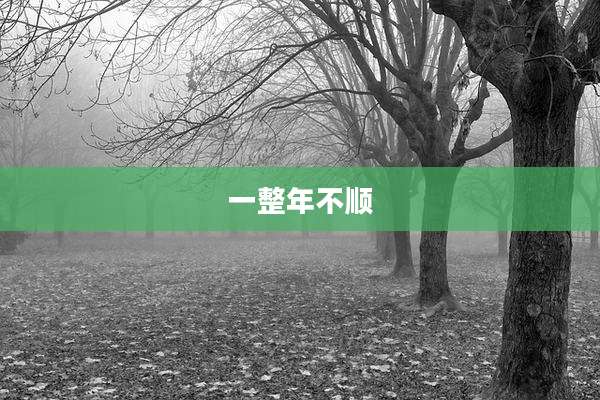 一整年不顺