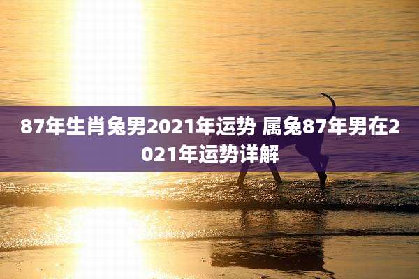 87年生肖兔男2021年运势 属兔87年男在2021年运势详解