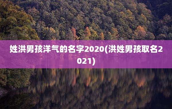 姓洪男孩洋气的名字2020(洪姓男孩取名2021)
