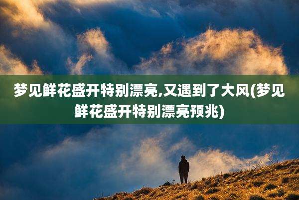 梦见鲜花盛开特别漂亮,又遇到了大风(梦见鲜花盛开特别漂亮预兆)