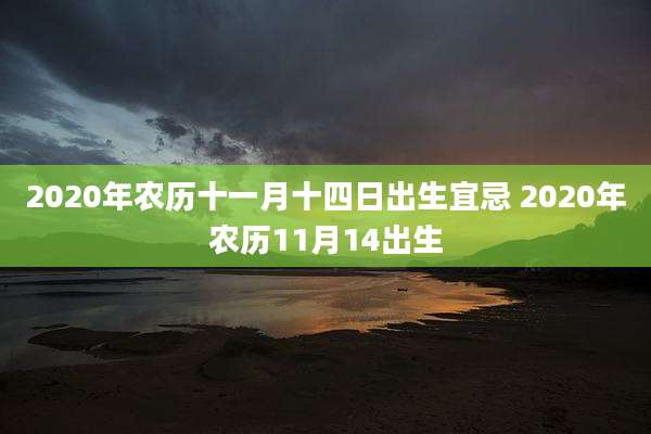 2020年农历十一月十四日出生宜忌 2020年农历11月14出生