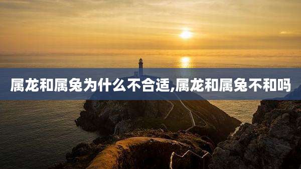 属龙和属兔为什么不合适,属龙和属兔不和吗