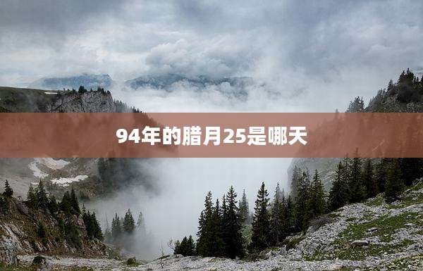 94年的腊月25是哪天