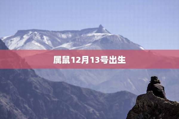 属鼠12月13号出生