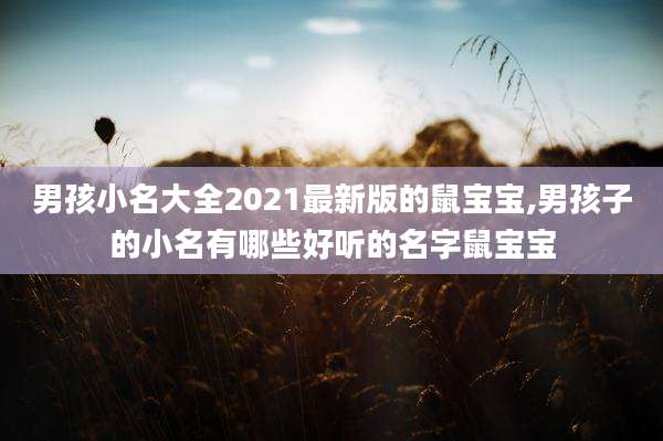 男孩小名大全2021最新版的鼠宝宝,男孩子的小名有哪些好听的名字鼠宝宝