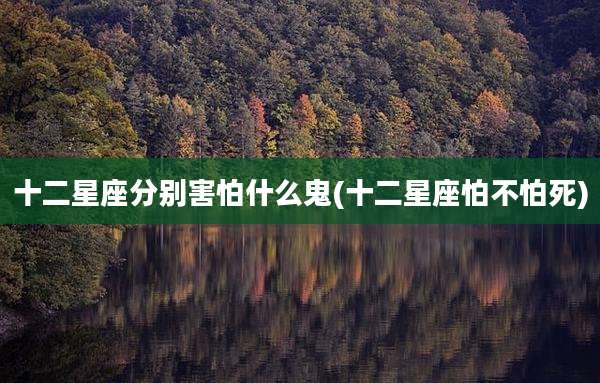 十二星座分别害怕什么鬼(十二星座怕不怕死)