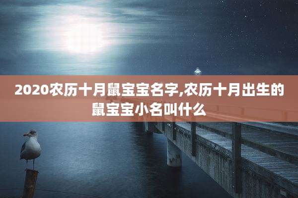 2020农历十月鼠宝宝名字,农历十月出生的鼠宝宝小名叫什么