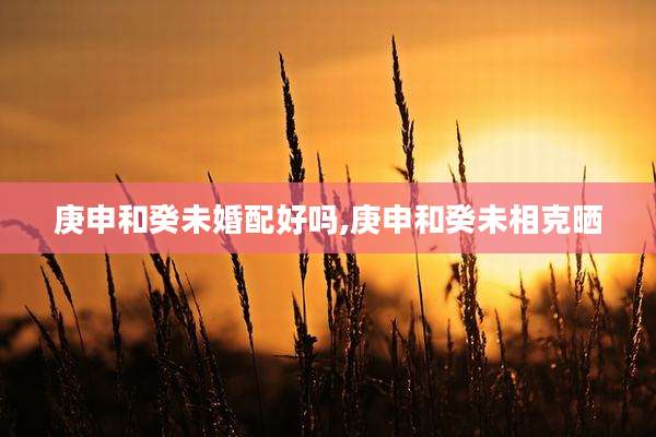 庚申和癸未婚配好吗,庚申和癸未相克晒