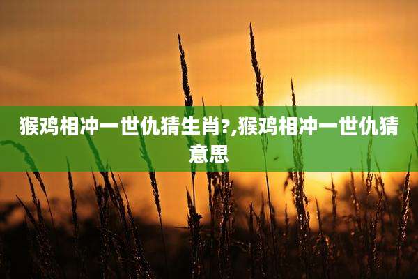 猴鸡相冲一世仇猜生肖?,猴鸡相冲一世仇猜意思