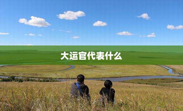 大运官代表什么