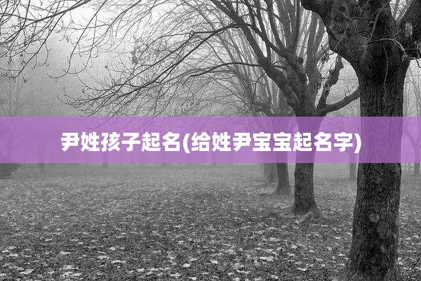 尹姓孩子起名(给姓尹宝宝起名字)