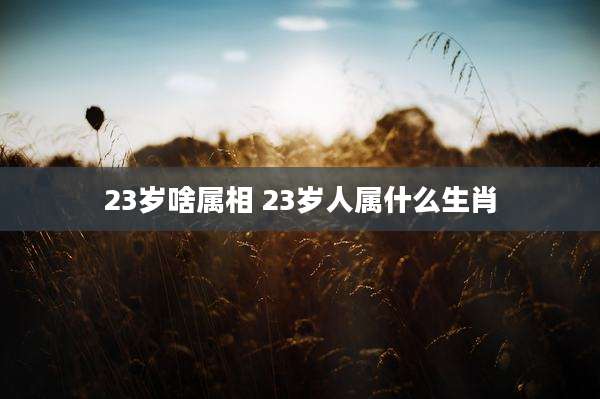 23岁啥属相 23岁人属什么生肖