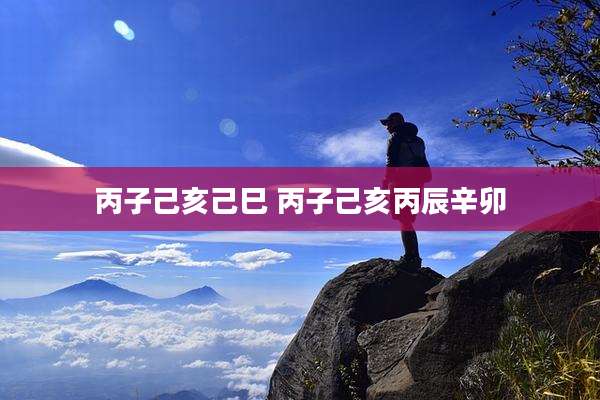 丙子己亥己巳 丙子己亥丙辰辛卯