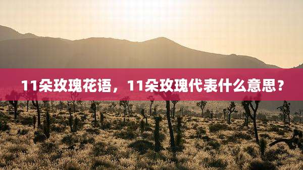11朵玫瑰花语，11朵玫瑰代表什么意思？