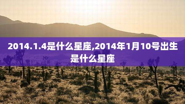 2014.1.4是什么星座,2014年1月10号出生是什么星座