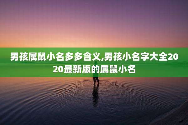 男孩属鼠小名多多含义,男孩小名字大全2020最新版的属鼠小名