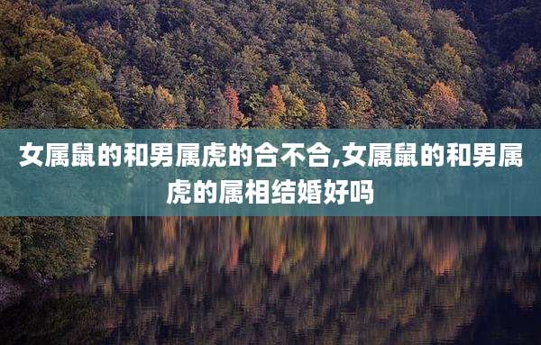女属鼠的和男属虎的合不合,女属鼠的和男属虎的属相结婚好吗