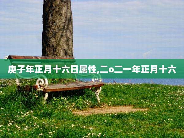 庚子年正月十六日属性,二o二一年正月十六