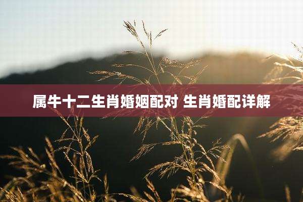 属牛十二生肖婚姻配对 生肖婚配详解