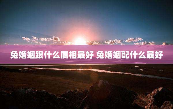 兔婚姻跟什么属相最好 兔婚姻配什么最好