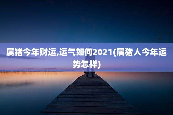 属猪今年财运,运气如何2021(属猪人今年运势怎样)