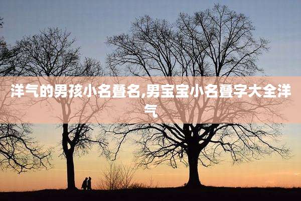 洋气的男孩小名叠名,男宝宝小名叠字大全洋气