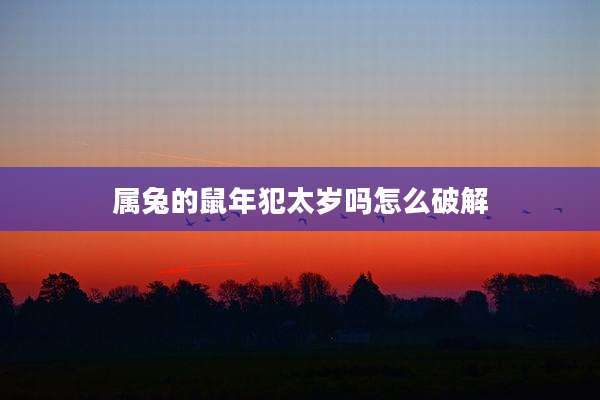 属兔的鼠年犯太岁吗怎么破解