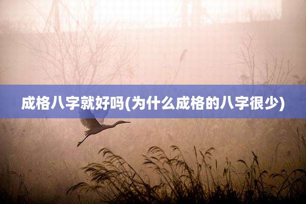 成格八字就好吗(为什么成格的八字很少)