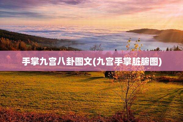 手掌九宫八卦图文(九宫手掌脏腑图)