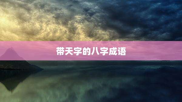 带天字的八字成语